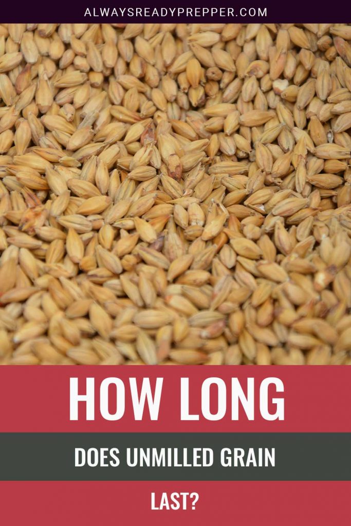 How Long Does Unmilled Grain Last? Always Ready Prepper