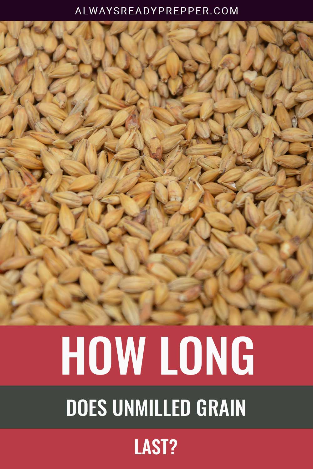 Unmilled Grains - How long do they last?
