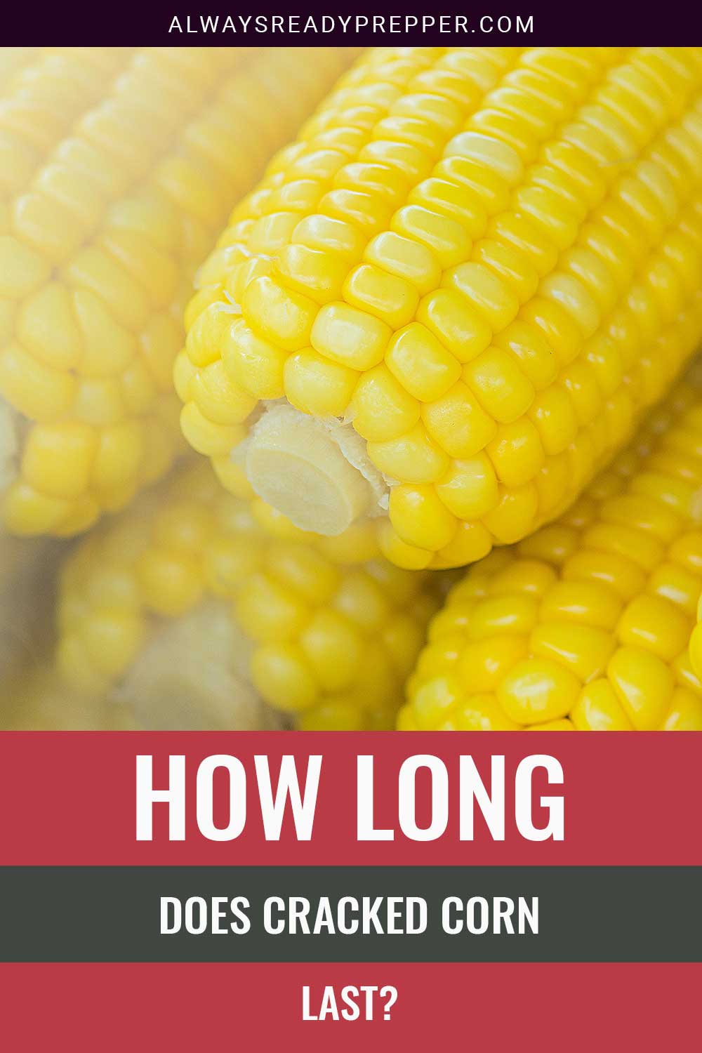 Corns stacked - How Long Does Cracked Corn Last?