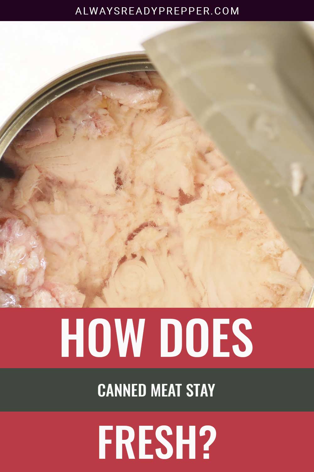 Meat in a can - How Does it Stay Fresh?