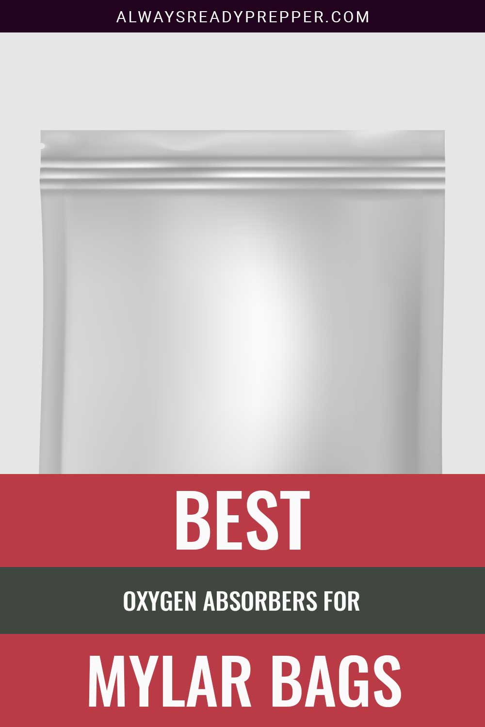 A mylar bag in front of a white background - Best Oxygen Absorbers for these.