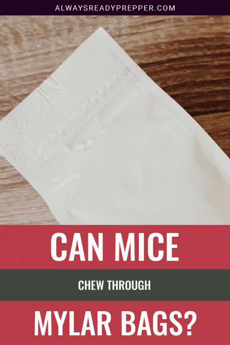 Can Mice Chew Through Mylar Bags? Always Ready Prepper