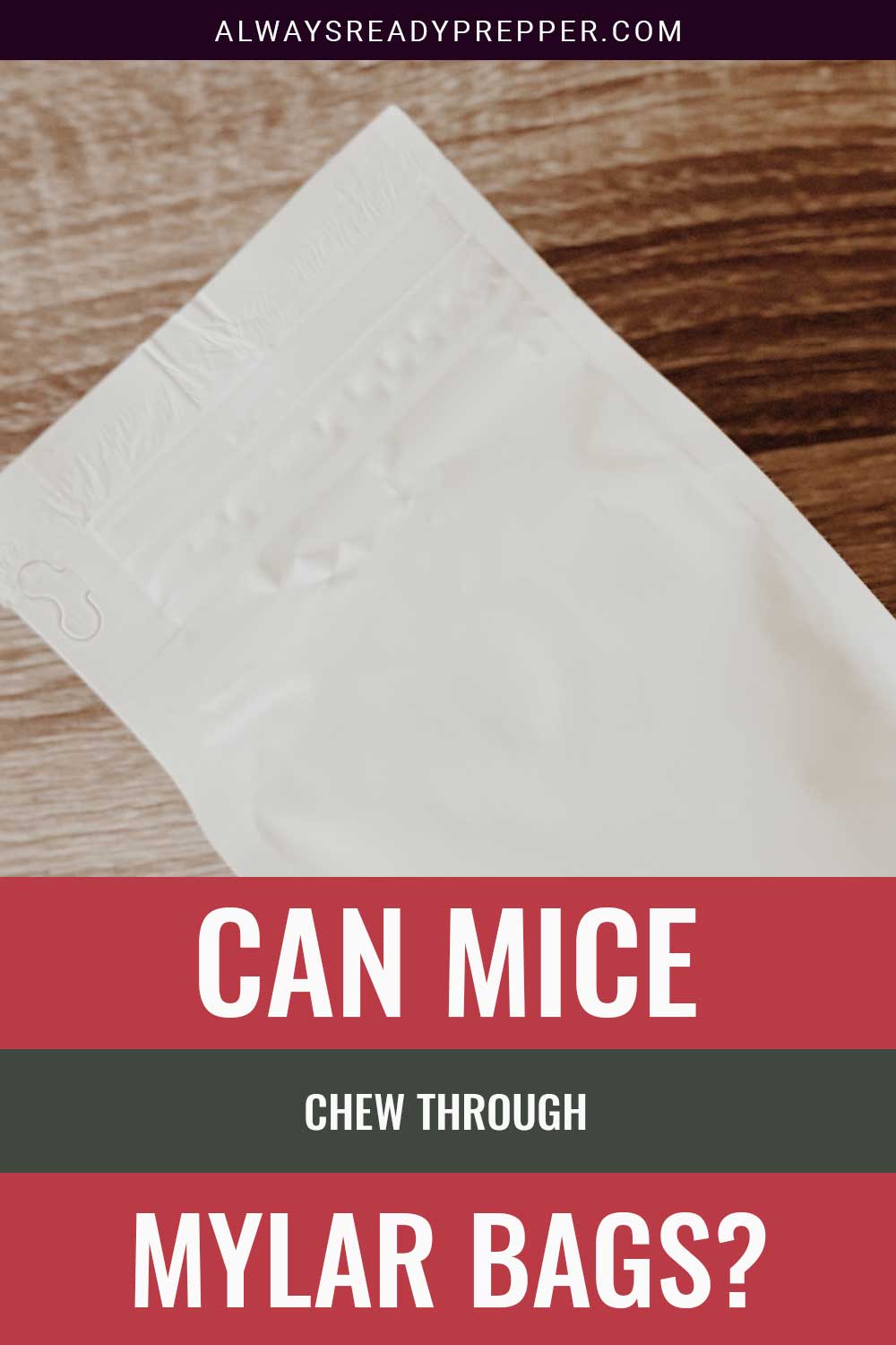 A white mylar bag on a wooden surface - Can Mice Chew Through it?