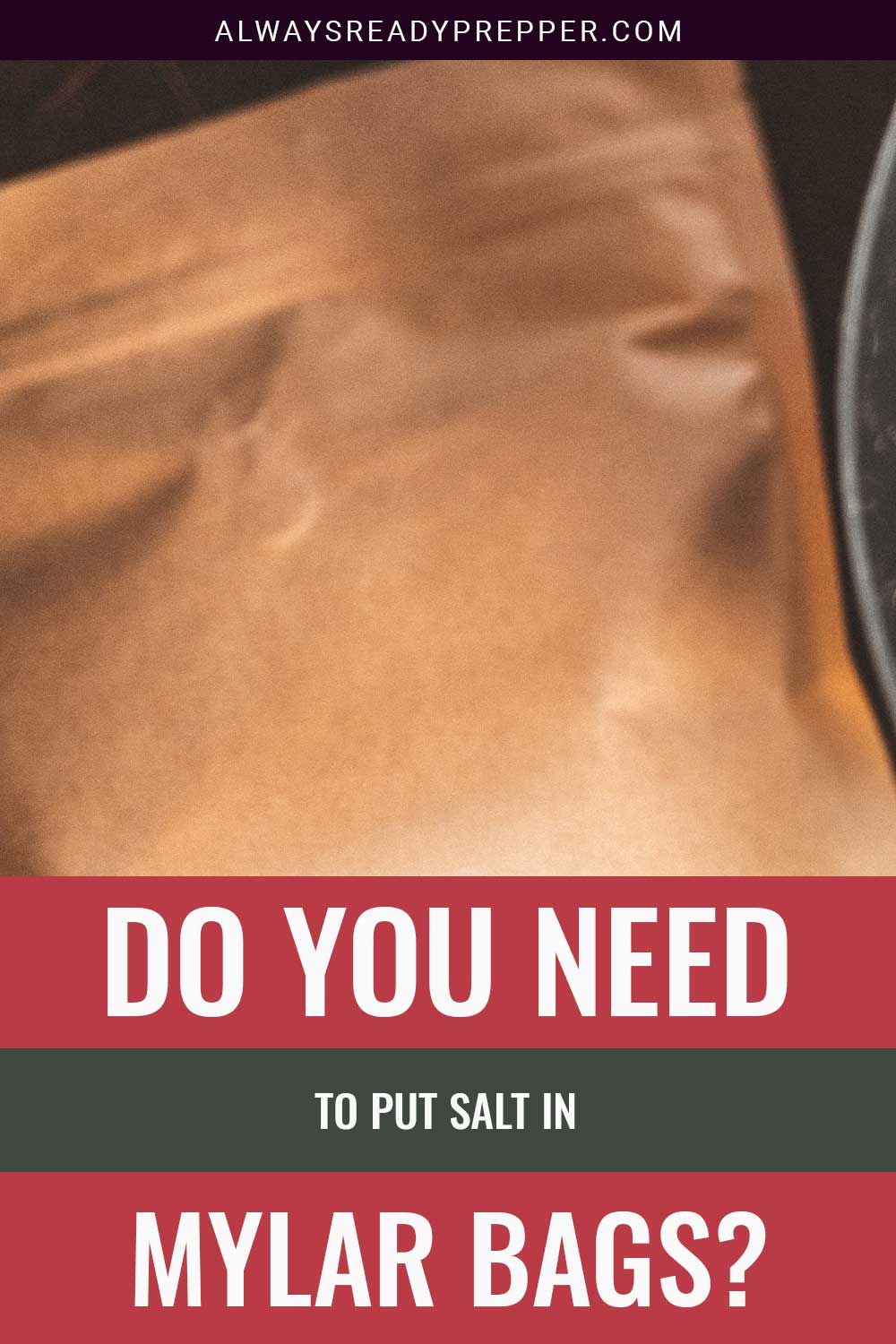 A mylar bag - Do You Need To Put Salt In it?