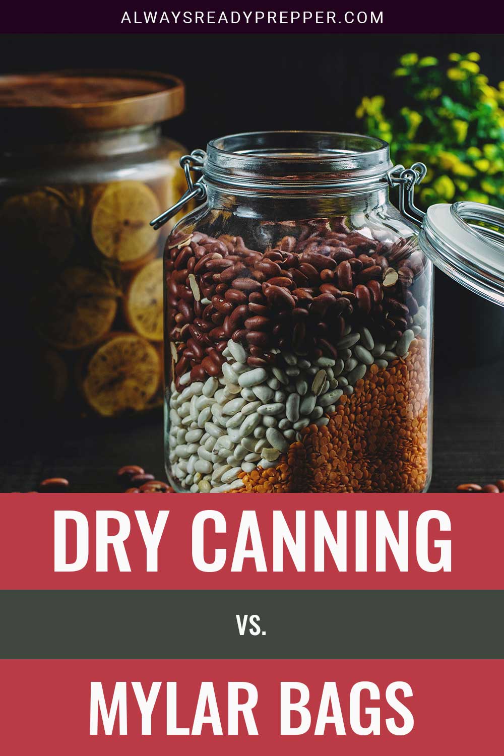 A Glass jar with beans and seeds in it - Dry Canning vs. Mylar Bags.